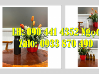 Lọ 50g đựng tinh bột nghệ, hủ nhựa 100g đựng gia vị nêm sẵn, hủ nhựa 250g đựng mứt 