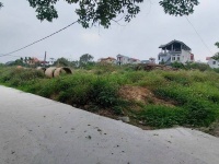 Trục đường liên xã, 1140m2, mt30m, Đất Ruộng, SXNN, lô góc, 2.4 tỷ, Đông Anh.