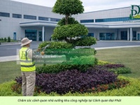 CHĂM SÓC CÂY XANH – CẮT CỎ KCN AN PHƯỚC ĐỒNG NAI