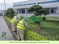 CHĂM SÓC CÂY XANH – CẮT CỎ KCN AN PHƯỚC ĐỒNG NAI