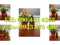 Bình nhựa 250ml vòi nhấn, chai thủy tinh 100ml trong suốt đựng hóa chất loãng