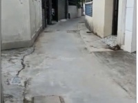 Chính chủ cần bán lô đất đẹp tại xóm Lê Lợi, xã An Hồng, huyện An Dương, TP. Hải Phòng.