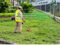 Dịch vụ cắt cỏ Tam Phước Đồng Nai uy tín