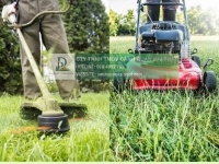 DỊCH VỤ CẮT CỎ ĐỒNG NAI GIÁ TỐT – NHẬN CẮT CỎ NHÀ MÁY, KCN
