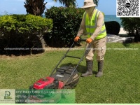 DỊCH VỤ CHĂM SÓC CÂY XANH TRỌN GÓI ĐỒNG NAI – CHUYÊN NGHIỆP, UY TÍN