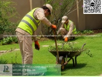 DỊCH VỤ CHĂM SÓC CÂY XANH TRỌN GÓI ĐỒNG NAI – CHUYÊN NGHIỆP, UY TÍN