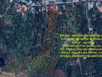 ĐẤT ĐẸP - GIÁ TỐT CHÍNH CHỦ CẦN BÁN 2 LÔ  VỊ TRÍ ĐẮC ĐỊA TẠI Xã Phước Lộc ĐạHoai  , Lâm Đồng