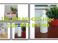 Vỏ chai thủy tinh 500ml đựng dung dịch tẩy trắng, chai nhựa 250ml đựng chất tẩy trắng quần áo 