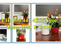 Hủ nhựa 1.5 ký đựng bột giặt, hủ nhựa 1000g đựng bột sắn dây, hủ nhựa 500g đựng bột nghệ 