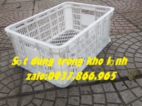 Sọt chế biến thực phẩm trong kho lạnh, sọt nhựa rỗng- sóng hở