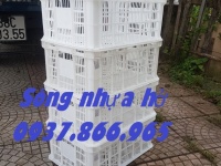 Sọt chế biến thực phẩm trong kho lạnh, sọt nhựa rỗng- sóng hở