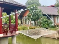 Cho thuê hoặc bán biệt thự nhà vườn mặt tiền đường Long Thuận