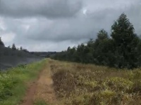 10ha sầu riêng thái năm 4 - Đắk Đoa, Gia Lai - 2.000 cây, đất đỏ bằng phẳng - giá 40 tỷ