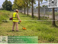 BÁO GIÁ CẮT CỎ – CHĂM SÓC CÂY XANH NHÀ XƯỞNG ĐỒNG NAI