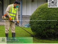 BÁO GIÁ CẮT CỎ – CHĂM SÓC CÂY XANH NHÀ XƯỞNG ĐỒNG NAI