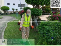 Chăm sóc cây xanh – thảm cỏ Nhơn Trạch, Đồng Nai