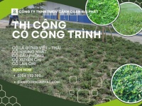 CUNG CẤP CỎ NHUNG NHẬT – CỎ LÁ GỪNG ĐỒNG NAI