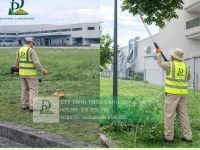 Chăm sóc Cây xanh Thảm cỏ KCN Nhơn Trạch Đồng Nai