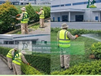 Chăm sóc Cây xanh Thảm cỏ KCN Nhơn Trạch Đồng Nai