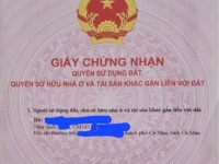 CHÍNH CHỦ CẦN BÁN NHÀ và ĐẤT + 2 PHÒNG TRỌ –  VỊ TRÍ ĐẸP TẠI PHƯỜNG 8 - TP. CÀ MAU