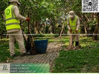 Cắt Cỏ – Cưa Cây KCN Sông Mây Đồng Nai