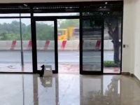 Chính chủ Cho thuê nhà nguyên căn CỔNG KHU CÔNG NGHIỆP ĐỒNG VĂN 4.