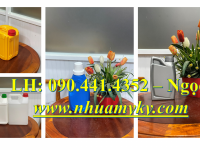 Bán can nhựa 5 lít đựng methanol, bình 2 lít đựng rượu, can nhựa 1 lít đựng chất dễ bắt lửa 