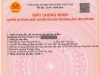 ĐẦU TƯ SINH LỜI – CHÍNH CHỦ CẦN BÁN ĐẤT MẶT TIỀN QL 62  TẠI Xã Tân Tây, Huyện Thạnh Hóa, Long An