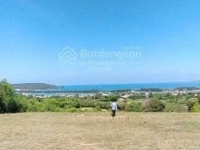 CẦN BÁN ĐẤT DIỆN TÍCH LỚN, – PHÙ HỢP HOMESTAY, NGHỈ DƯỠNG- HUYỆN TUY AN - PHÚ YÊN