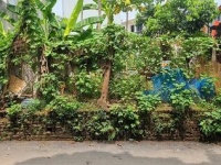 Chính chủ bán 100m2 đất tại thôn Ninh Sơn, Chúc Sơn, Chương Mỹ, Hà Nội