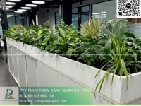 Dịch vụ Chăm sóc cây xanh Văn phòng Đồng Nai