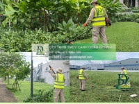 Dịch vụ cắt cỏ – chăm sóc cây xanh KCN Linh Trung, TP.HCM