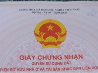 ĐẤT ĐẸP – GIÁ TỐT –CHÍNH CHỦ CẦN BÁN ĐẤT MẶT BIỂN 1.160M² TẠI Phường Điện Dương, Điện Bàn, Quảng Nam