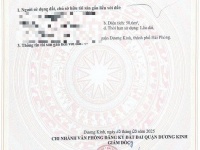 CHÍNH CHỦ BÁN GẤP ĐẤT HÒA NGHĨA, DƯƠNG KINH, HẢI PHÒNG - GIÁ CHỈ 950 TRIỆU