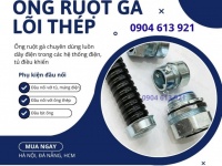 Ống ruột gà lõi thép, PG sắt phân phối tại Hà Nội, Đà Nẵng, HCM