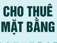 CHÍNH CHỦ CHO THUÊ 2 MẶT BẰNG ĐẤT TRỐNG – XÃ CHÂU PHA,HUYỆN  TÂN THÀNH, BÀ RỊA – VŨNG TÀU