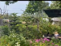 29 TỶ SỞ HỮU ĐẤT MẶT TIỀN VŨNG TÀU GẦN 1000M2 SỐ HỒNG RIÊNG