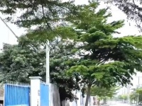 Nhà xưởng quy mô lớn 5.000m2 - KCN Tân Đô, Đức Hòa, Tây Ninh - 2 cổng,  sổ hồng riêng