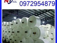 Cung cấp cuộn manh PP khổ từ 30cm đến 140cm dạng ống