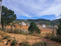 Bán Đất Lớn Lang biang 53,000 m2