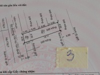 ĐẤT ĐẸP – GIÁ TỐT – CẦN BÁN NHANH CÁC LÔ ĐẤT LIỀN KỀ, PHƯỜNG Bình Hưng Hòa, QUẬN Bình Tân, TP.HCM