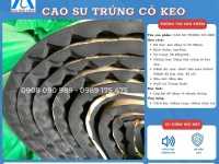 Cao su trứng có keo dán, cách âm, chống rung, chống cháy lan