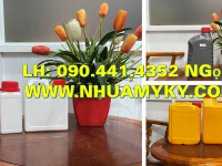 Can nhựa 0.5 lít đựng nước lau sàn, vỏ can nhựa 1 lít đựng nước rửa chén đậm dặc 