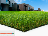 Thủ tục nhập khẩu cỏ nhân tạo