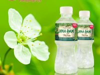 Sản phẩm Nha Đam Mủ Trôm Thái Sơn