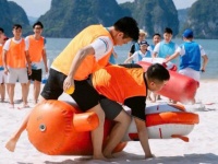 Ngựa chiến ngựa bơm hơi  Cho thuê ngựa chiến