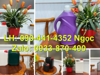 Can nhựa 2 lít HDPE nguyên sinh, can nhựa 5 lít đựng sữa bò, nước ép, trà sữa… (có chứng nhận) 