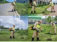 Dịch vụ cắt cỏ – cưa cây – chăm sóc cảnh quan Long Thành, Đồng Nai