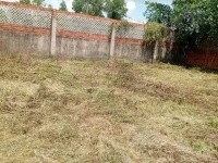 ĐẦU TƯ SINH LỜI – CẦN BÁN GẦN 1.000M² LÔ ĐẤT VƯỜN, Đ. Tam Đa, P. Long Phước, Q.9, TP.HCM