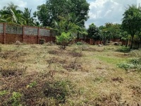 ĐẦU TƯ SINH LỜI – CẦN BÁN GẦN 1.000M² LÔ ĐẤT VƯỜN, Đ. Tam Đa, P. Long Phước, Q.9, TP.HCM